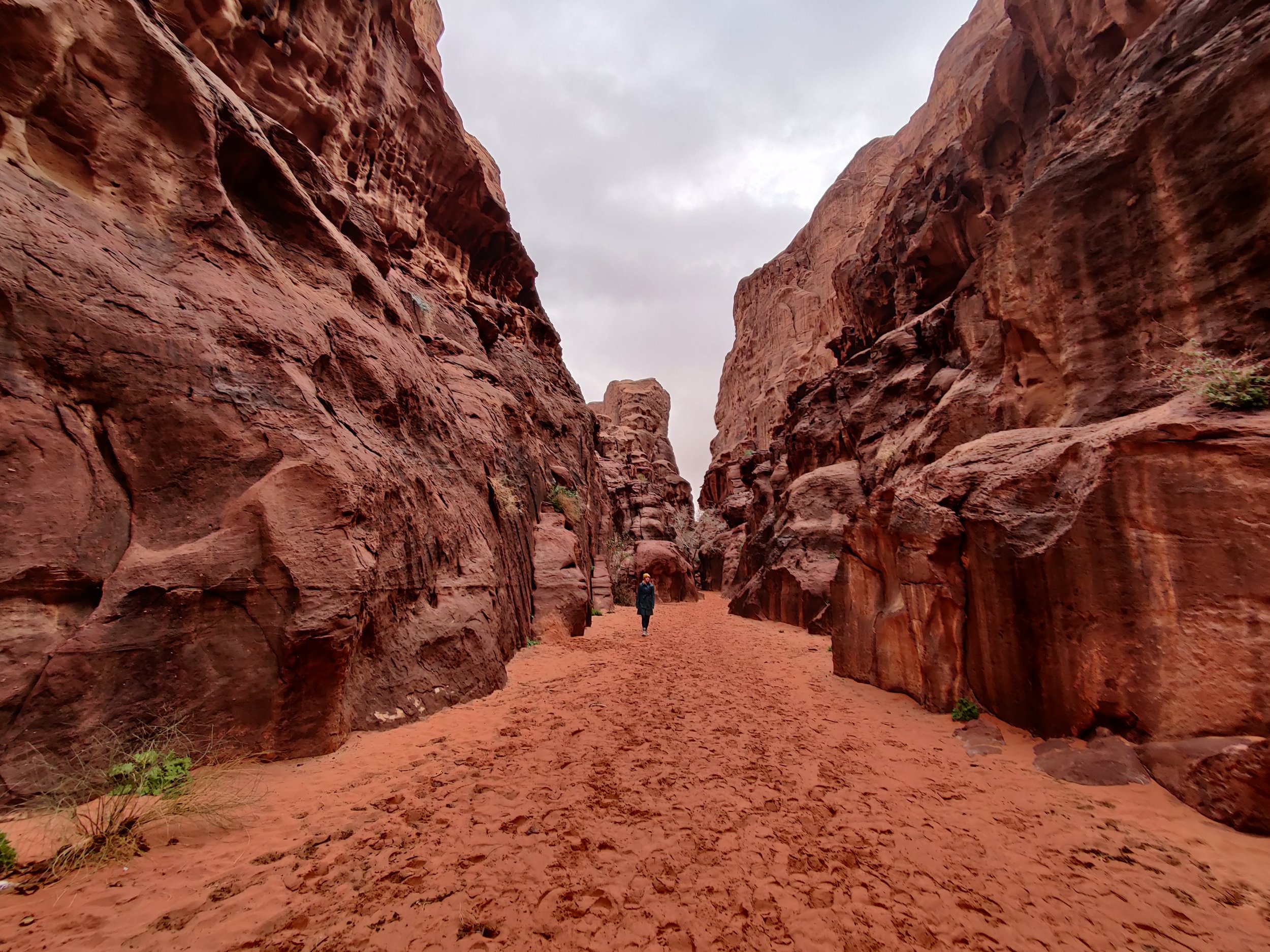 2 jours à Wadi Rum et Pétra (nuit à Wadi Rum) depuis Jérusalem (JEJ-JHT-006)